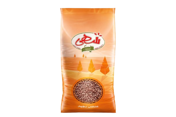 عدس بجبة