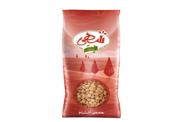 حمص الشام